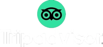 Tripadvisor Reviews